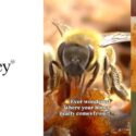 Behind Every Jar Of Honey Is An Incredible Little Worker.: Biohoney
