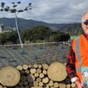 Iwi-led Playspace Taking Shape 