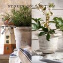 Autumn Days Are Made For Cosy Homes: Storey Home Collection
