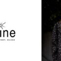 Prints Are In, Especially For Coats This Season.: Shine Design Store