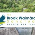 Discover Something Truly Special At Brook Waimārama Sanctuary