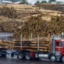 Solid Economic Growth Continues For Nelson-Tasman