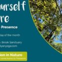 Lose Yourself In Nature: Coming Home To Presence: The Brook Waimārama Sanctuary