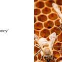 Nature’s Original Energy Gel?: Biohoney