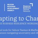 Adapting To Change: Free Business Resilience Workshop