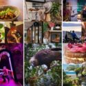 Start Planning Your Next Winter Outing: Nelson Tasman
