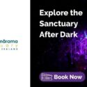 Explore The Sanctuary After Dark And Grab A 20% Discount This June: The Brook Waimārama Sanctuary