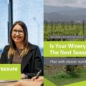 Is Winter Putting Pressure On Your Cash Flow: WK Strawbridge Advisors And Accountants