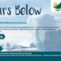 40 Years Below | A Fundraiser For Brook Waimārama Sanctuary