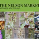 All Set For The Nelson Market