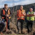Council Awards Contract To Grow Nelson’s Forest Cover And Protect Catchments