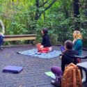 Lose Yourself In Nature: The Brook Waimārama Sanctuary