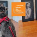 Exhibition Hangs Can Be Quite Tricky At Times: Nelson City Framers & The Gallery