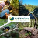 Brook Waimārama Sanctuary Is The South Island’s Largest Fully Fenced Eco-sanctuary…