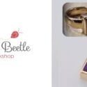 A Simple, Elegant Transformation: Jewel Beetle