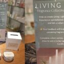 4 Gorgeous New Mystery Fragrances: Living Light Candles Nelson