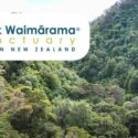 Explore The Sanctuary As Much As You Like!: The Brook Waimārama Sanctuary